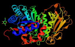 heparinase enzyme 500x334